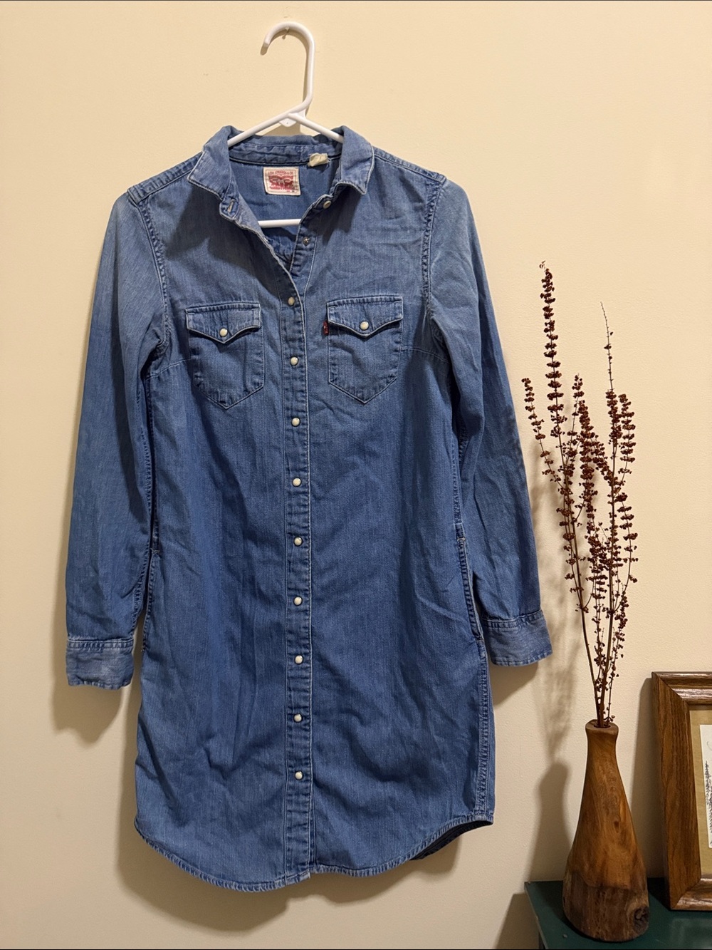 Levi's Denim Long-Sleeve Shirt Dress